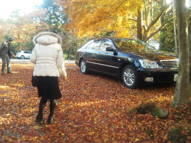 f:id:huton-takahara:20121204142837j:image f:id:huton-takahara:20121204142837j:image