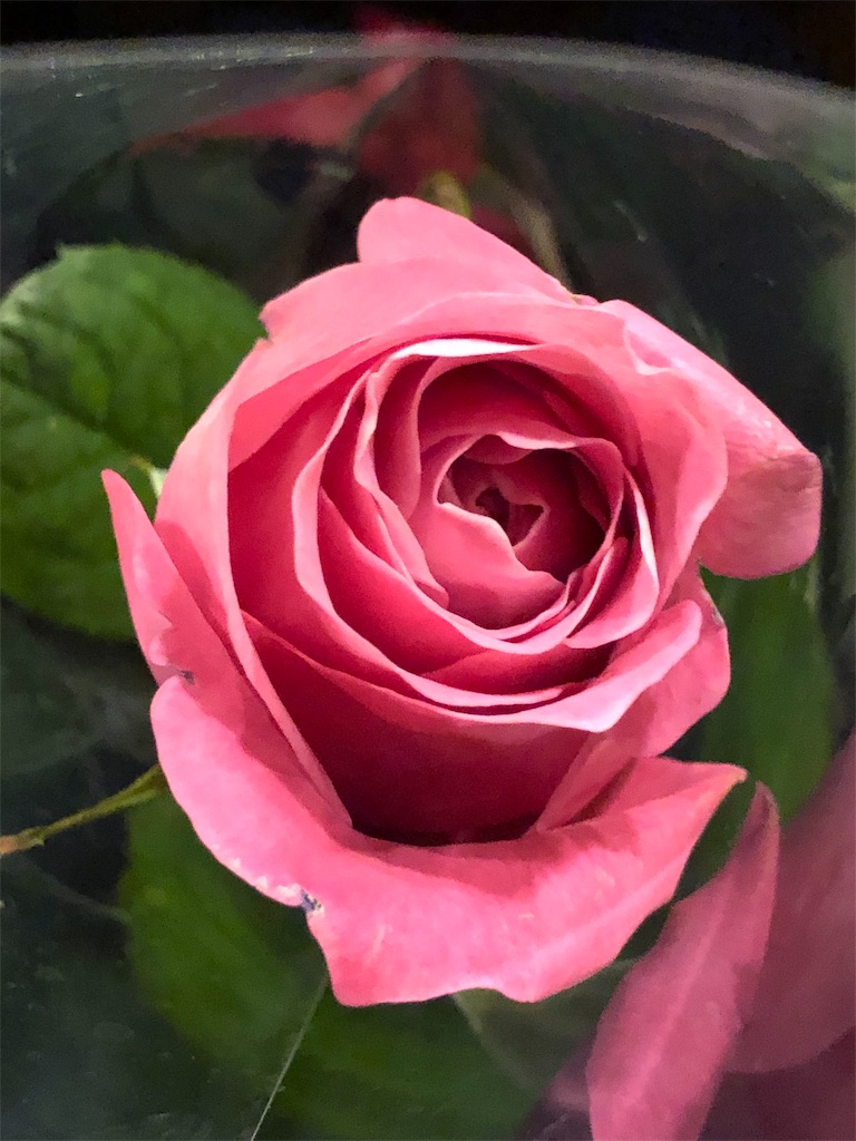 f:id:hutoukouh:20191112051253j:image