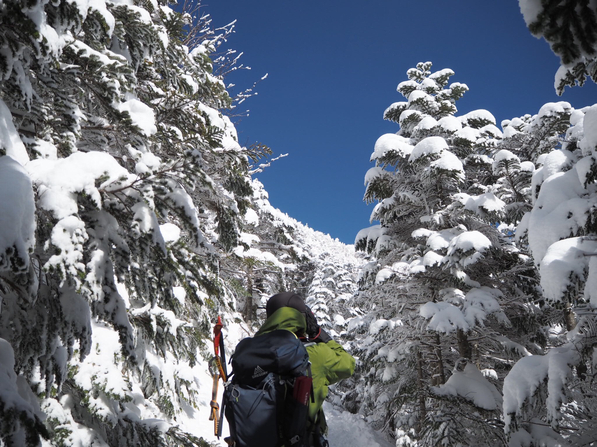f:id:hutte55153:20170219084119j:image f:id:hutte55153:20170219084119j:image