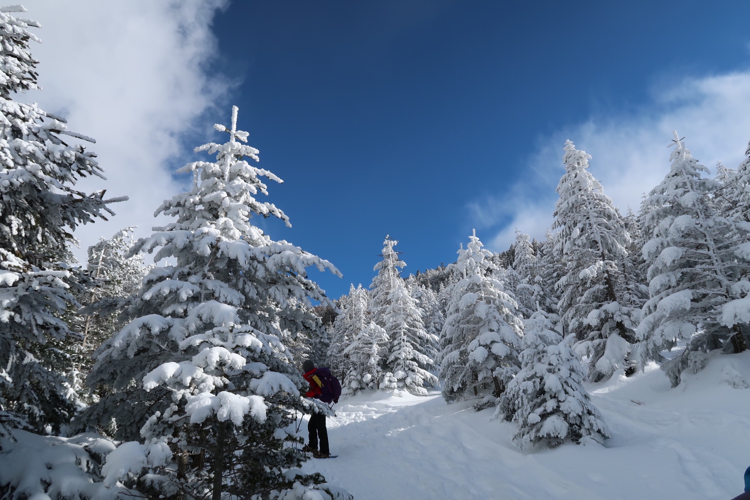 f:id:hutte55153:20170219085209j:image f:id:hutte55153:20170219085209j:image