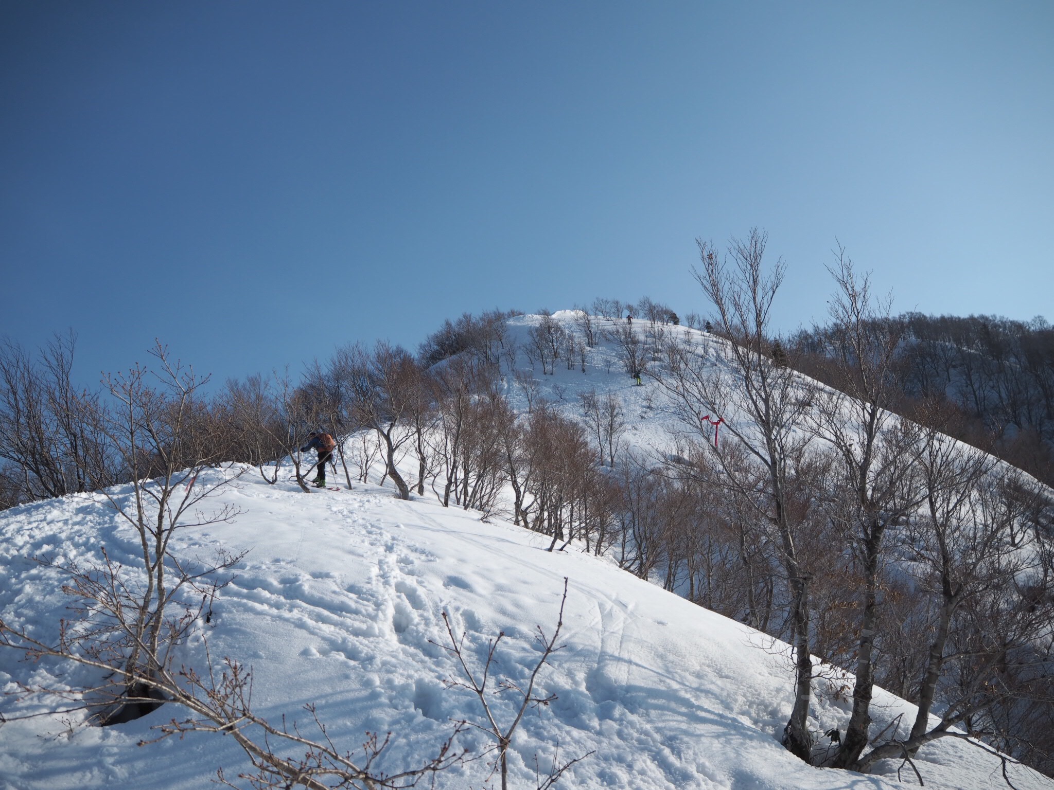 f:id:hutte55153:20170630080521j:image f:id:hutte55153:20170630080521j:image