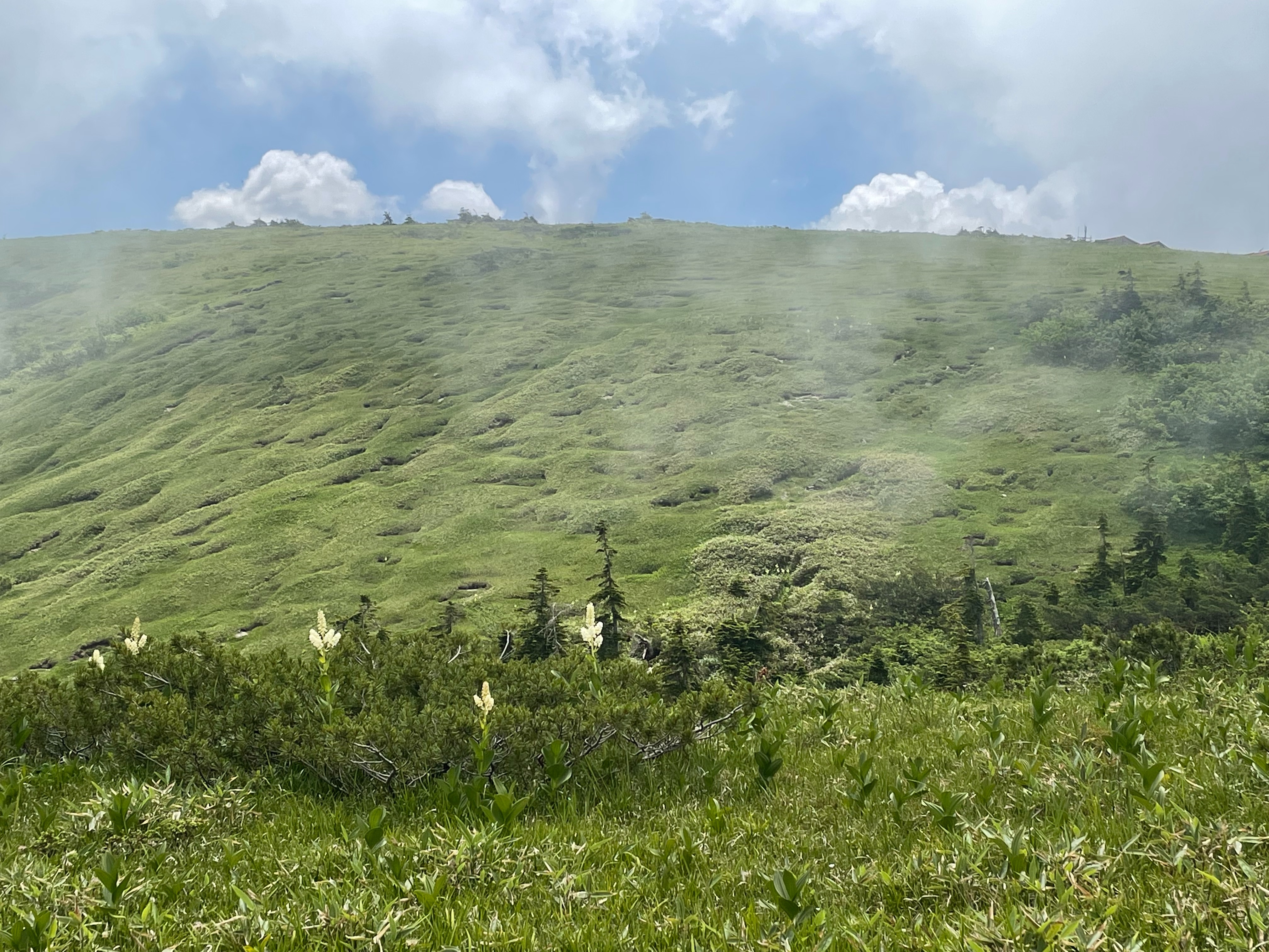 f:id:hutte55153:20210830144816j:image f:id:hutte55153:20210830144816j:image