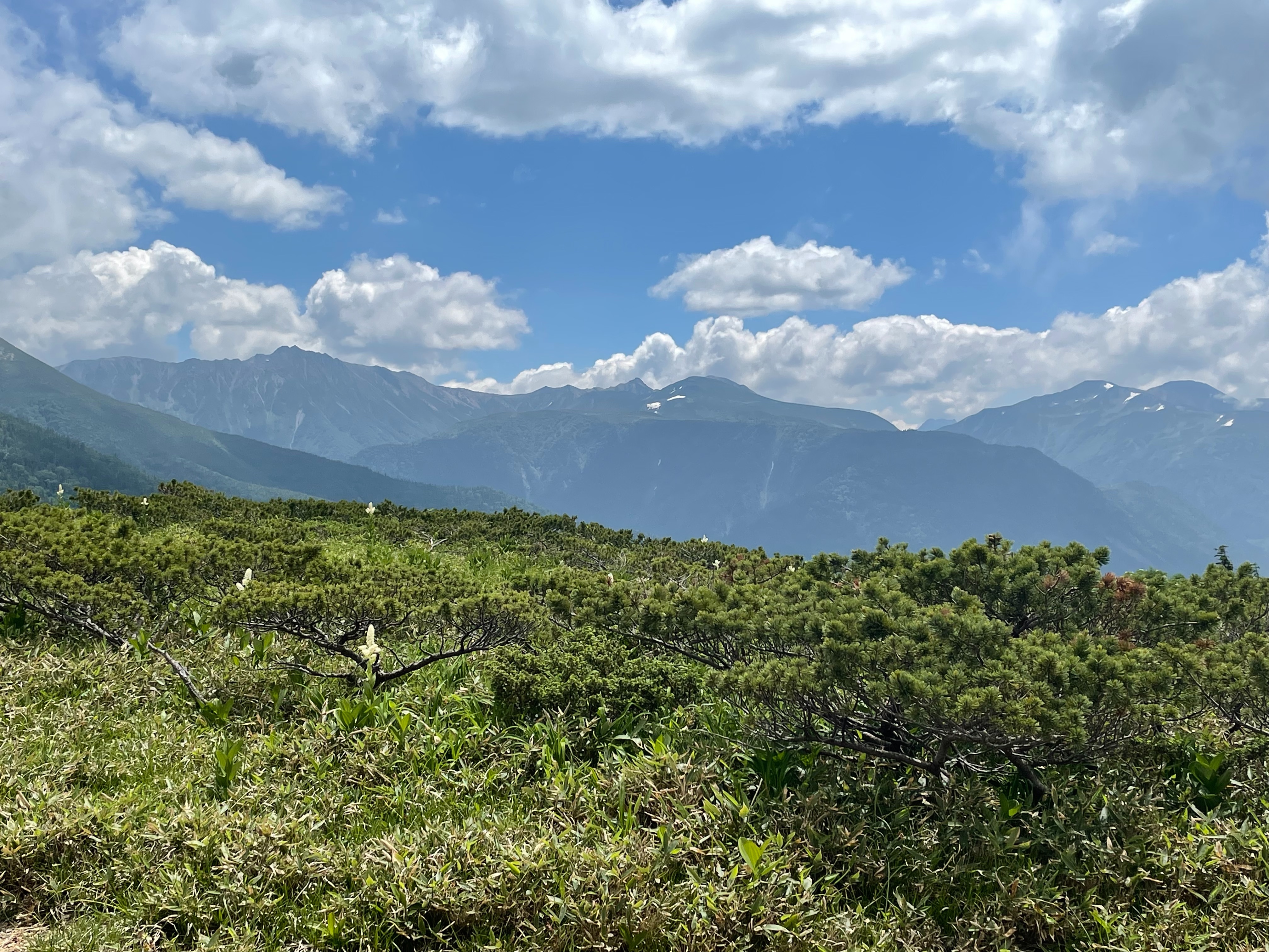 f:id:hutte55153:20210830144828j:image f:id:hutte55153:20210830144828j:image