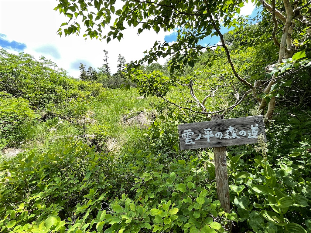 f:id:hutte55153:20211016211252j:image f:id:hutte55153:20211016211252j:image