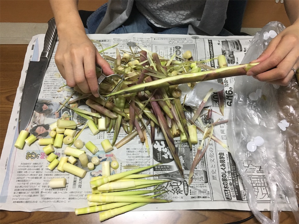 f:id:hututuka:20180619142235j:image