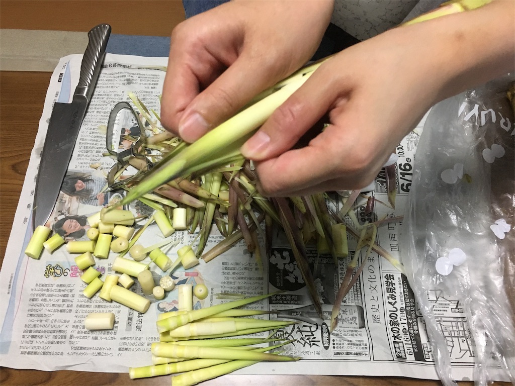 f:id:hututuka:20180619142305j:image