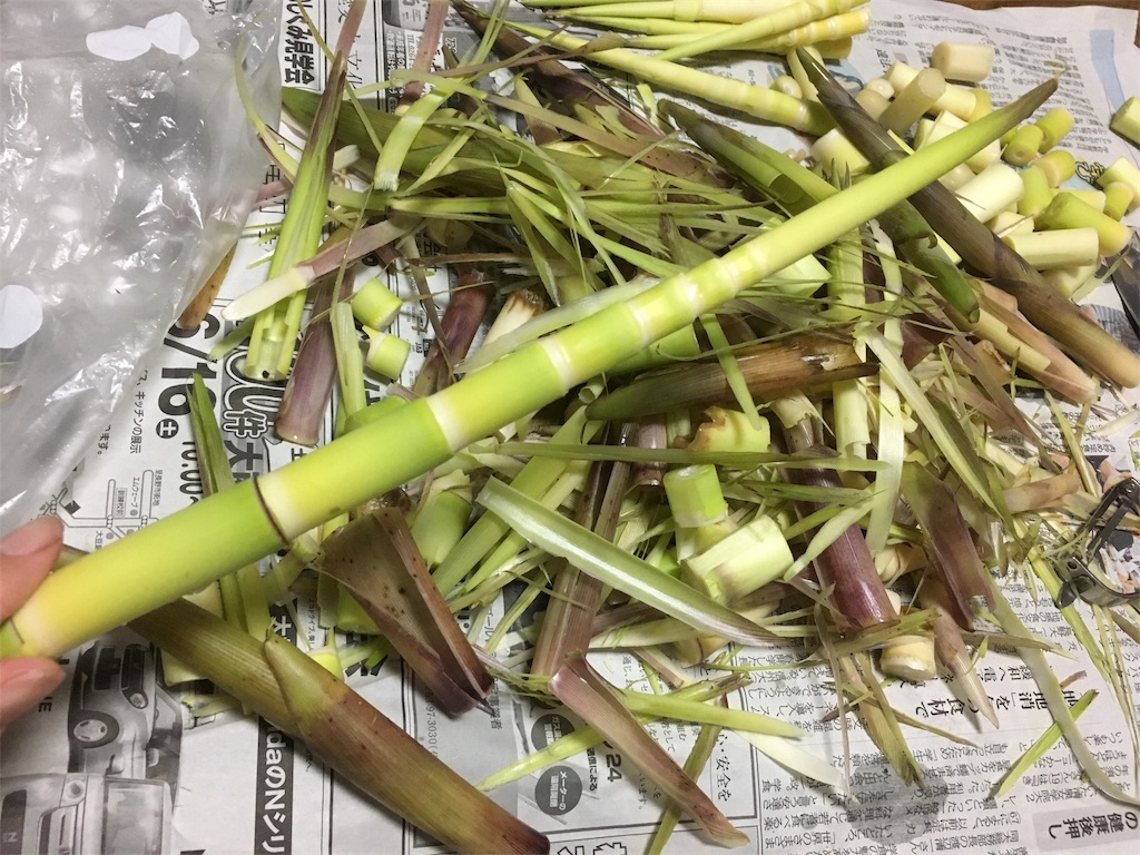 f:id:hututuka:20180619142316j:image