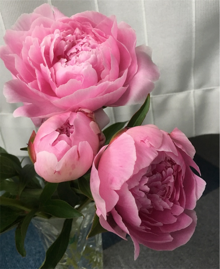 f:id:hututuka:20180619225151j:image