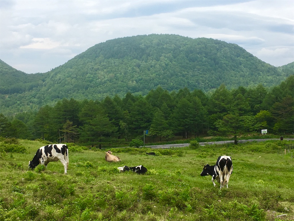 f:id:hututuka:20180701082218j:image