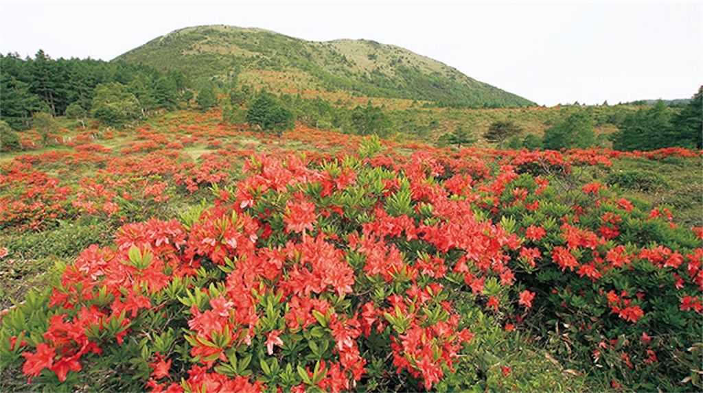 f:id:hututuka:20180701082821j:image