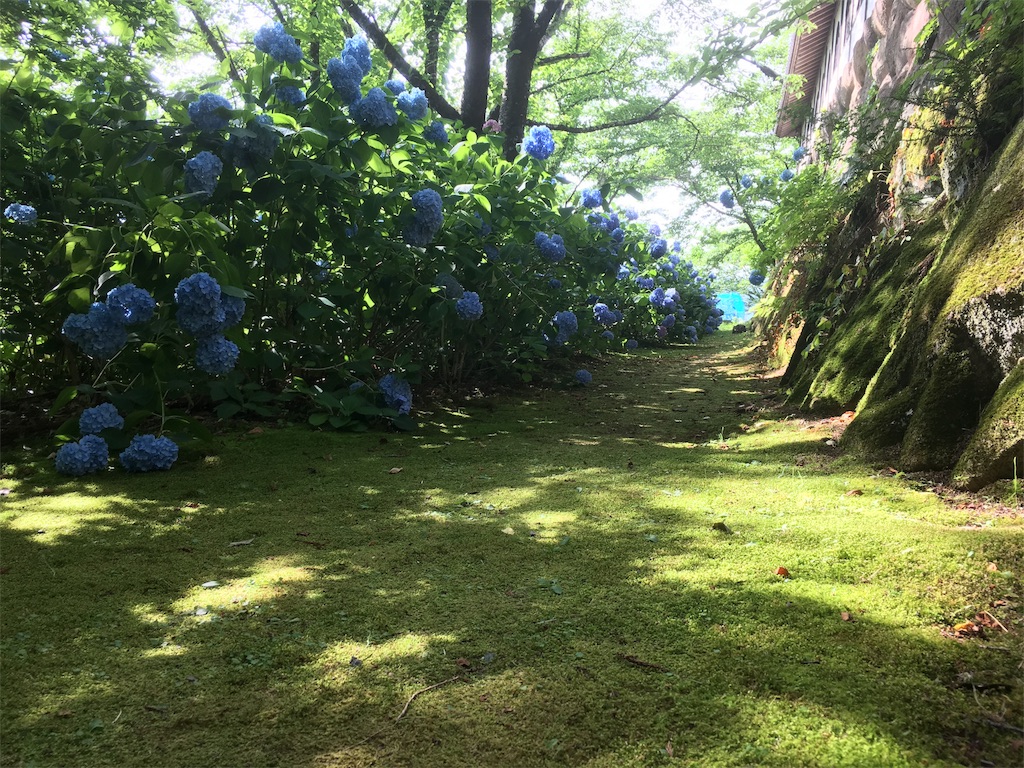 f:id:hututuka:20180709121130j:image