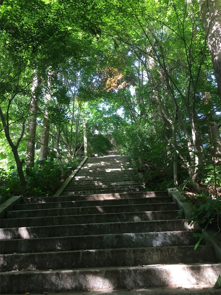 f:id:hututuka:20180709121213j:image