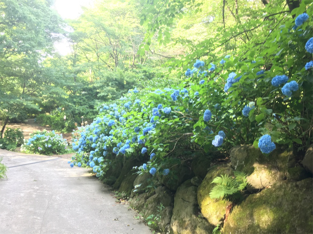 f:id:hututuka:20180709122904j:image