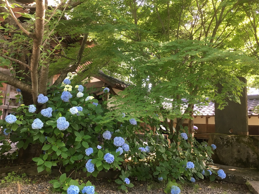 f:id:hututuka:20180709122929j:image