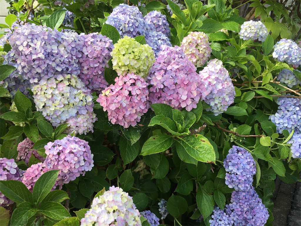 f:id:hututuka:20190712222114j:image