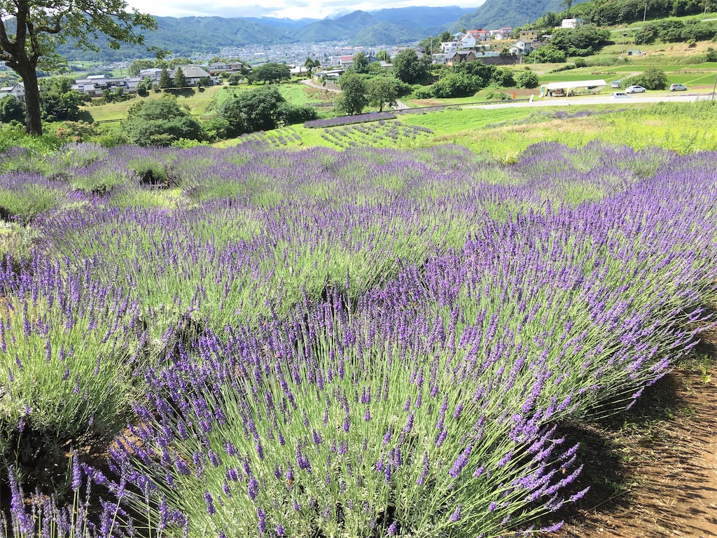 f:id:hututuka:20190712222131j:image