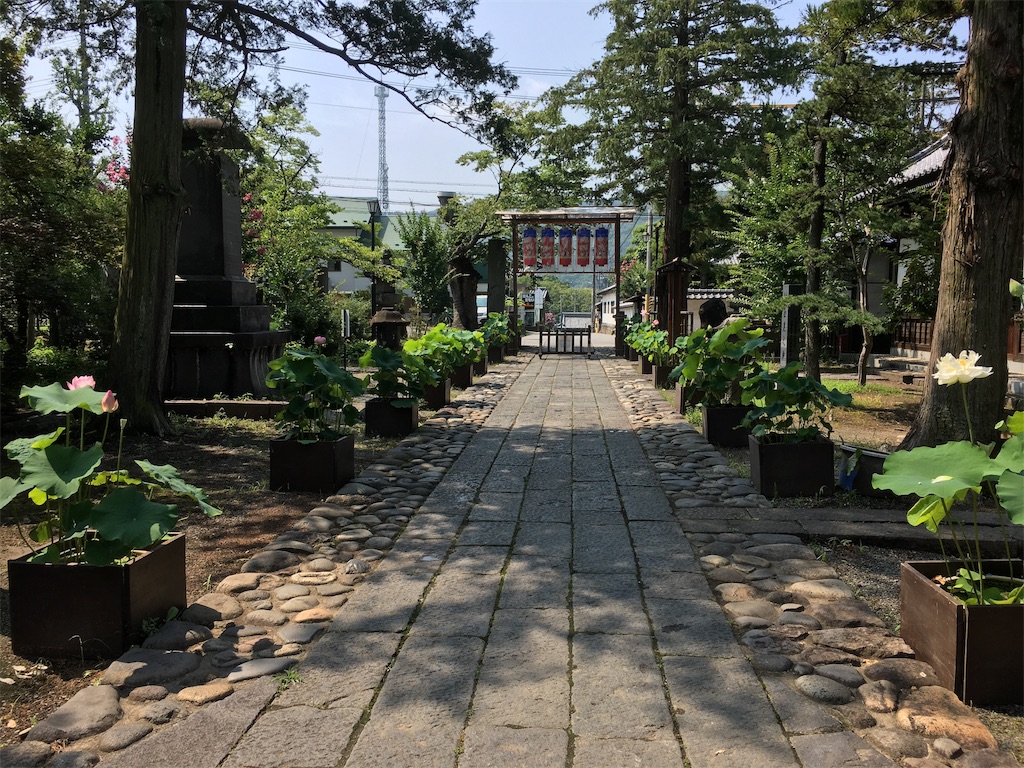 f:id:hututuka:20190801104104j:image