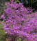 f:id:huu51:20050416203602:image:small