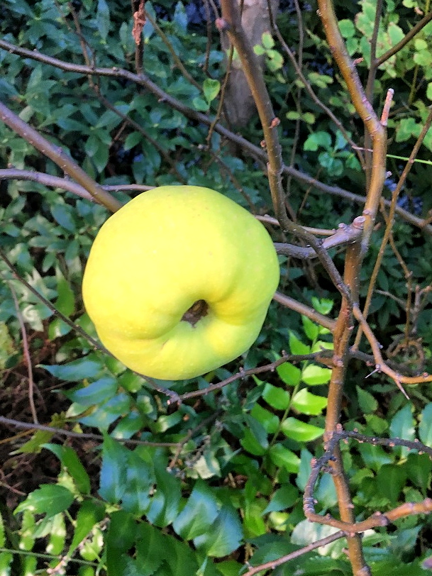 f:id:huukyou:20181027052048j:plain f:id:huukyou:20181027052048j:plain