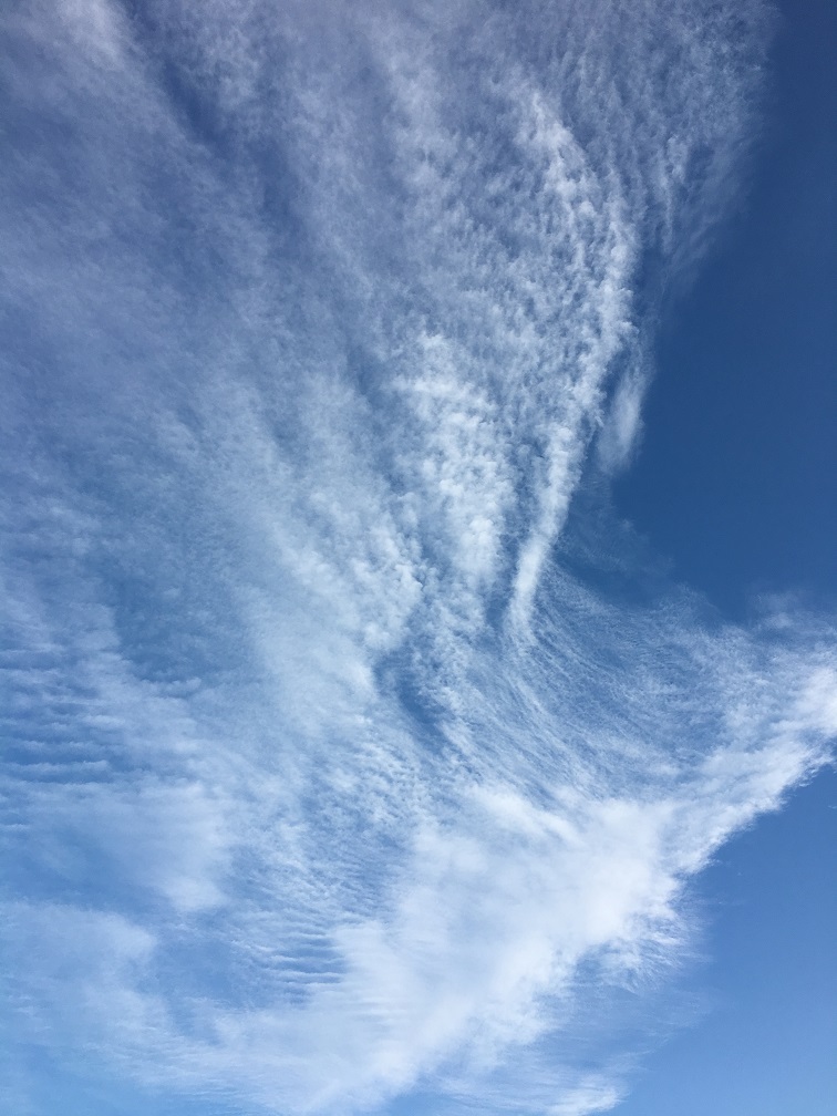 f:id:huukyou:20181208055922j:plain