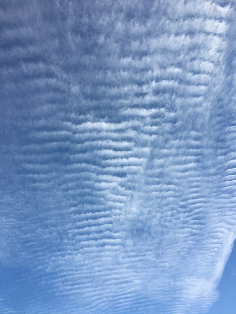 f:id:huukyou:20181208055953j:plain