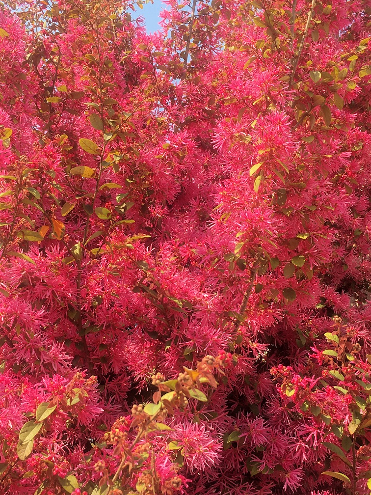 f:id:huukyou:20190328045507j:plain f:id:huukyou:20190328045507j:plain