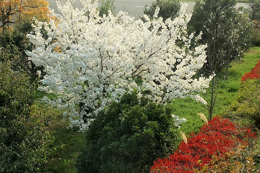 f:id:huukyou:20190328045604j:plain f:id:huukyou:20190328045604j:plain
