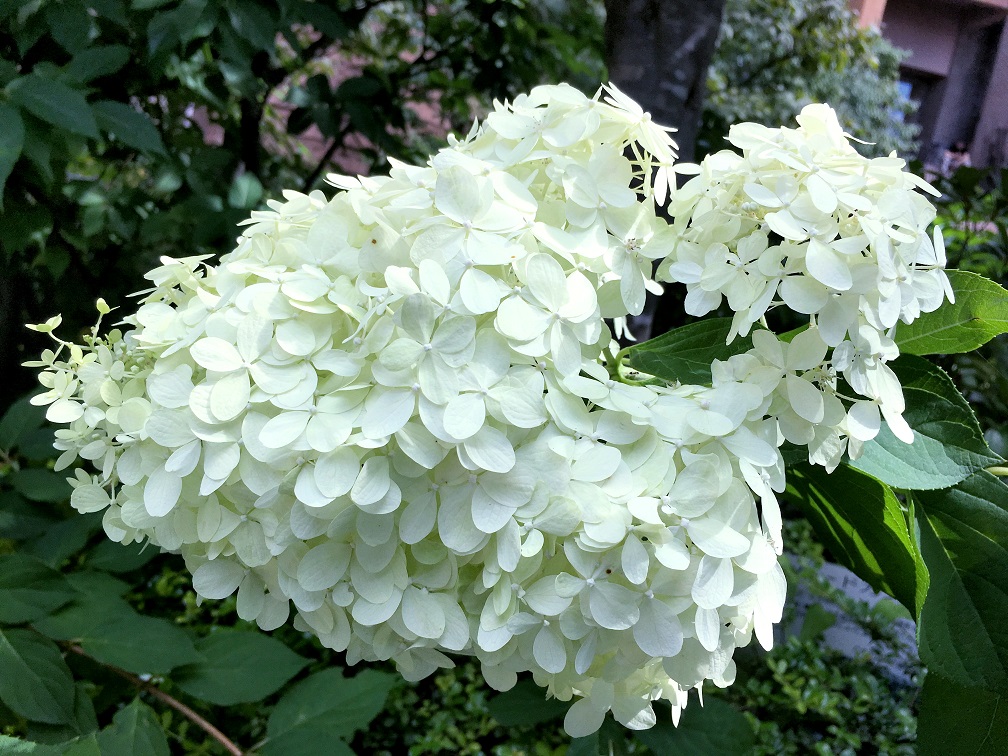 f:id:huukyou:20190721041218j:plain