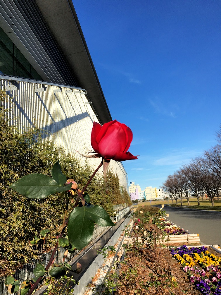 f:id:huukyou:20191212050650j:plain f:id:huukyou:20191212050650j:plain