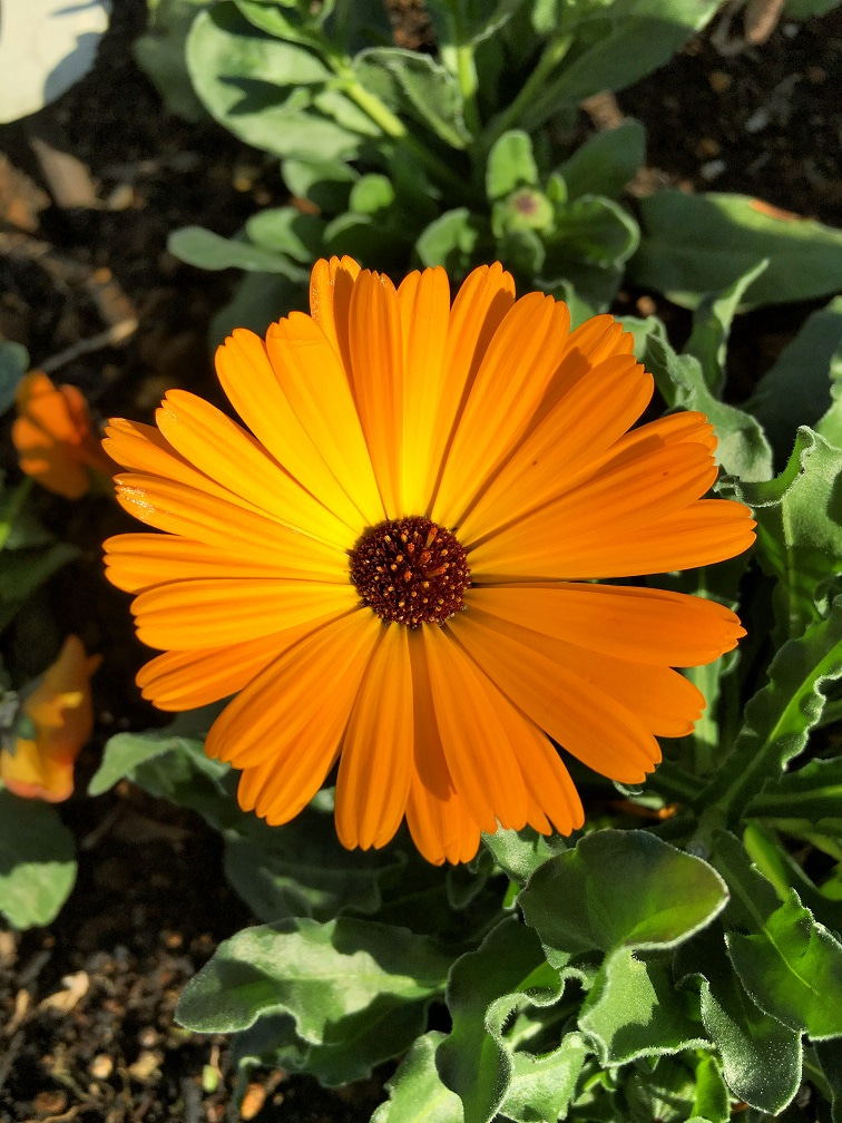 f:id:huukyou:20191223072630j:plain