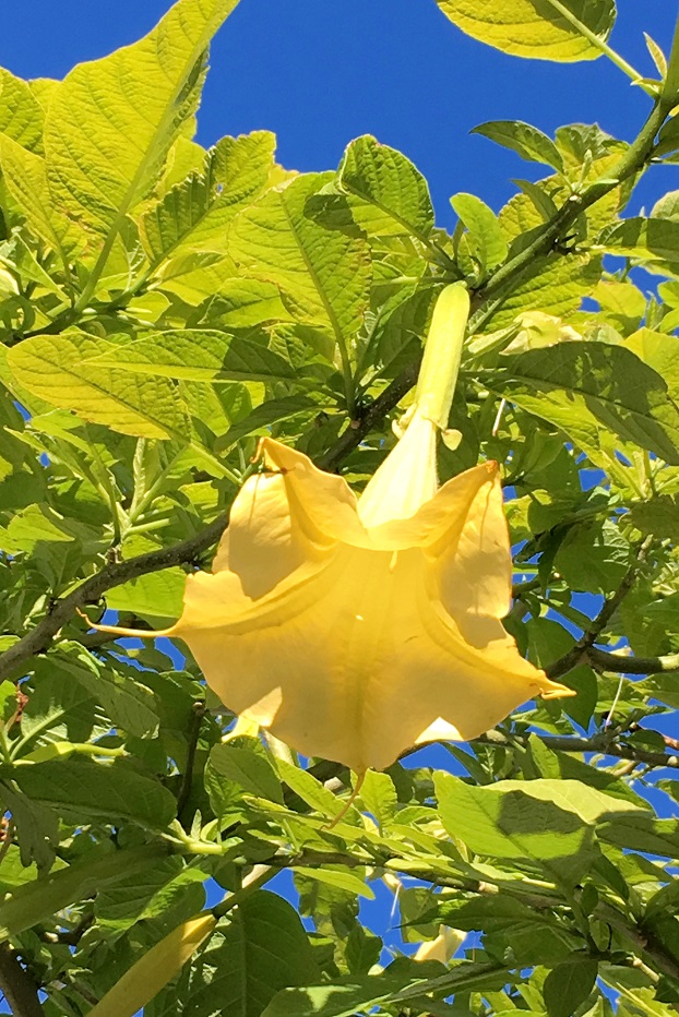 f:id:huukyou:20191230043128j:plain