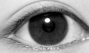 f:id:huukyou:20200723052704j:plain f:id:huukyou:20200723052704j:plain