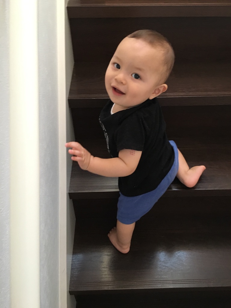 f:id:huukyou:20200728045407j:plain f:id:huukyou:20200728045407j:plain