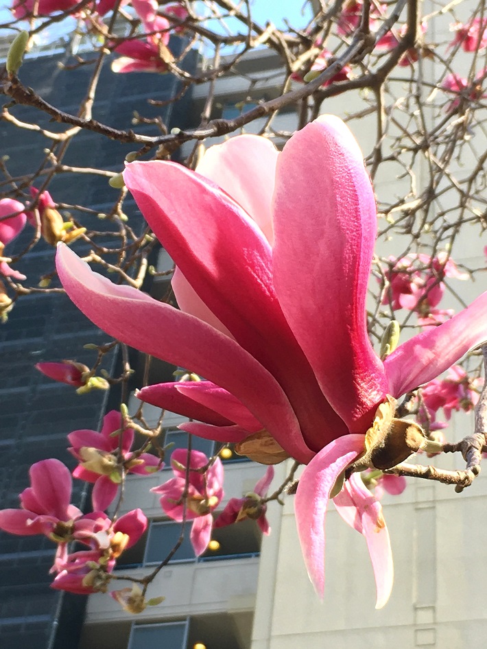 f:id:huukyou:20210319042718j:plain