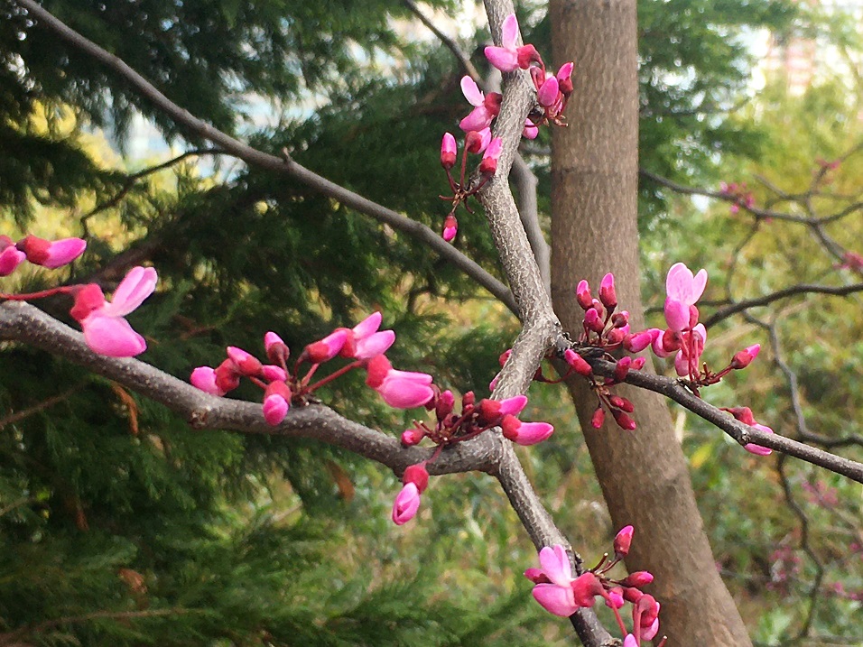 f:id:huukyou:20210401031429j:plain