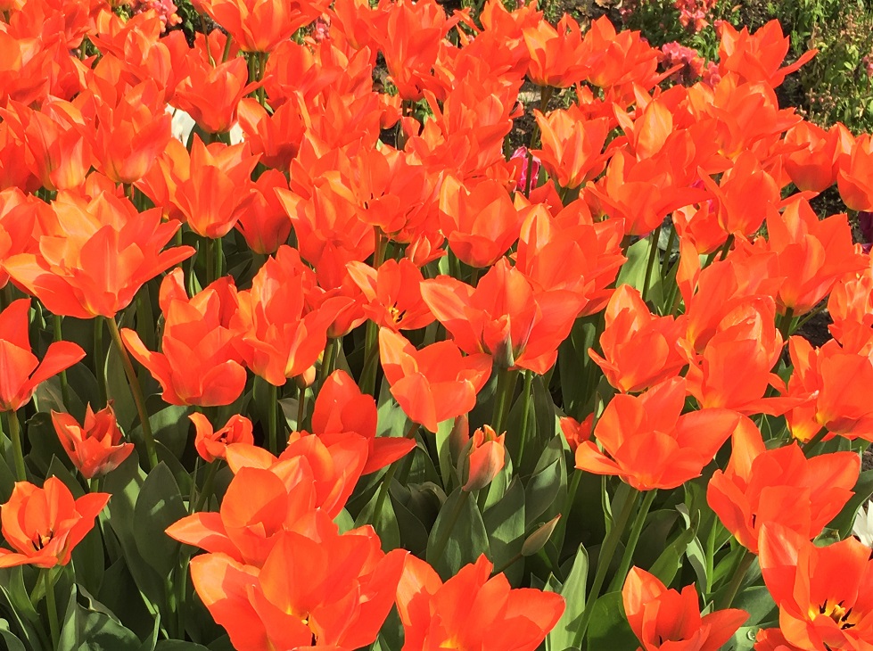 f:id:huukyou:20210421033703j:plain