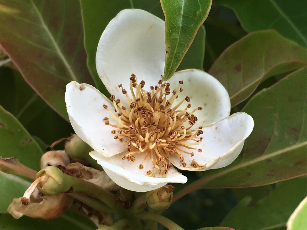 f:id:huukyou:20210619041215j:plain