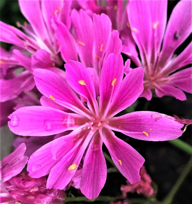 f:id:huukyou:20211206052105j:plain