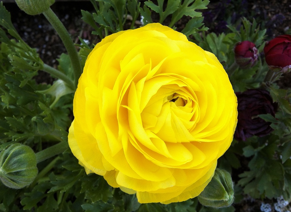 f:id:huukyou:20220217054945j:plain