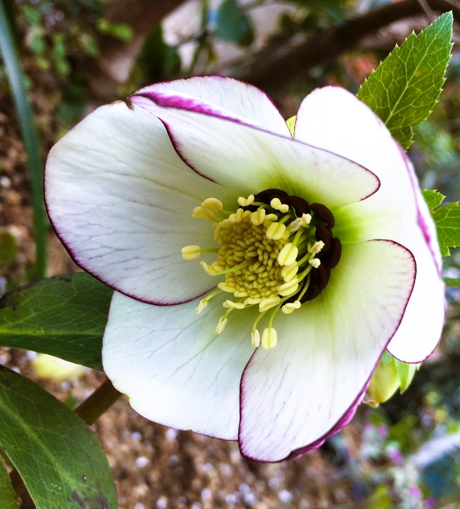 f:id:huukyou:20220227101340j:plain