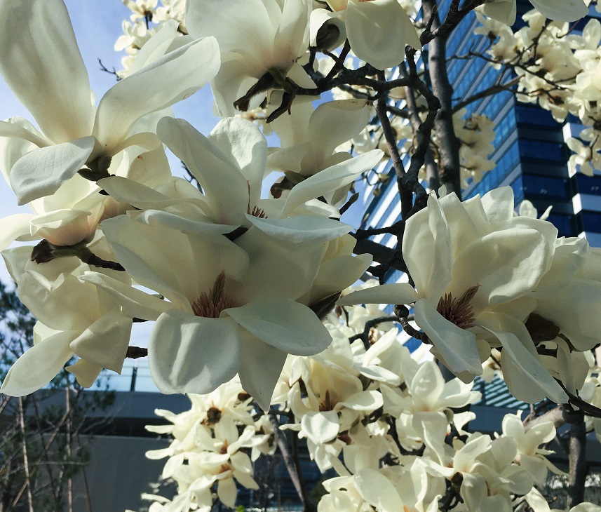 f:id:huukyou:20220324050814j:plain