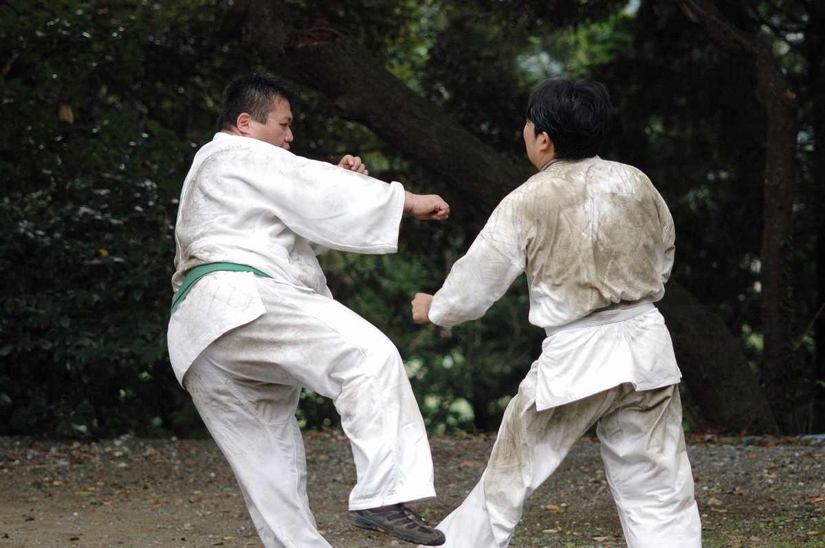 f:id:huumonkan:20190329104637j:plain