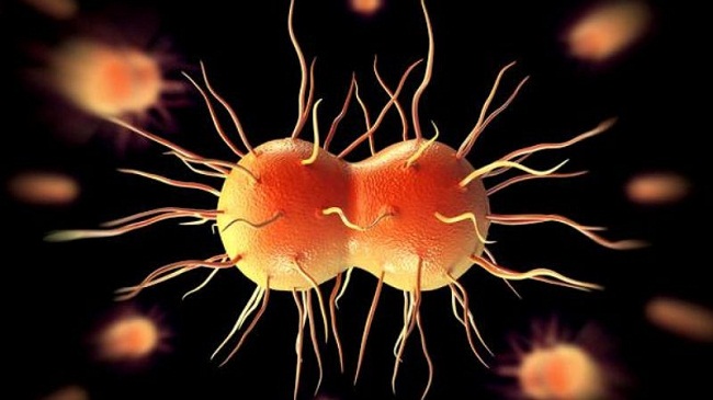 f:id:huyenit:20191115162321j:plain