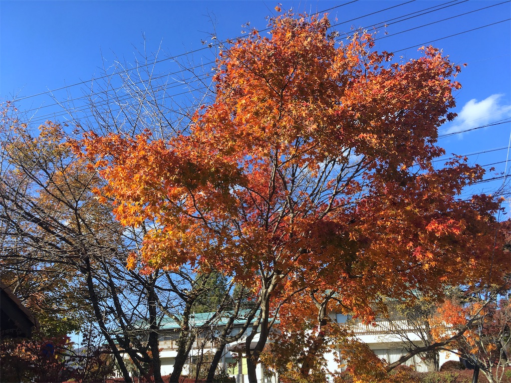 f:id:huyukomori:20190922032553j:image f:id:huyukomori:20190922032553j:image