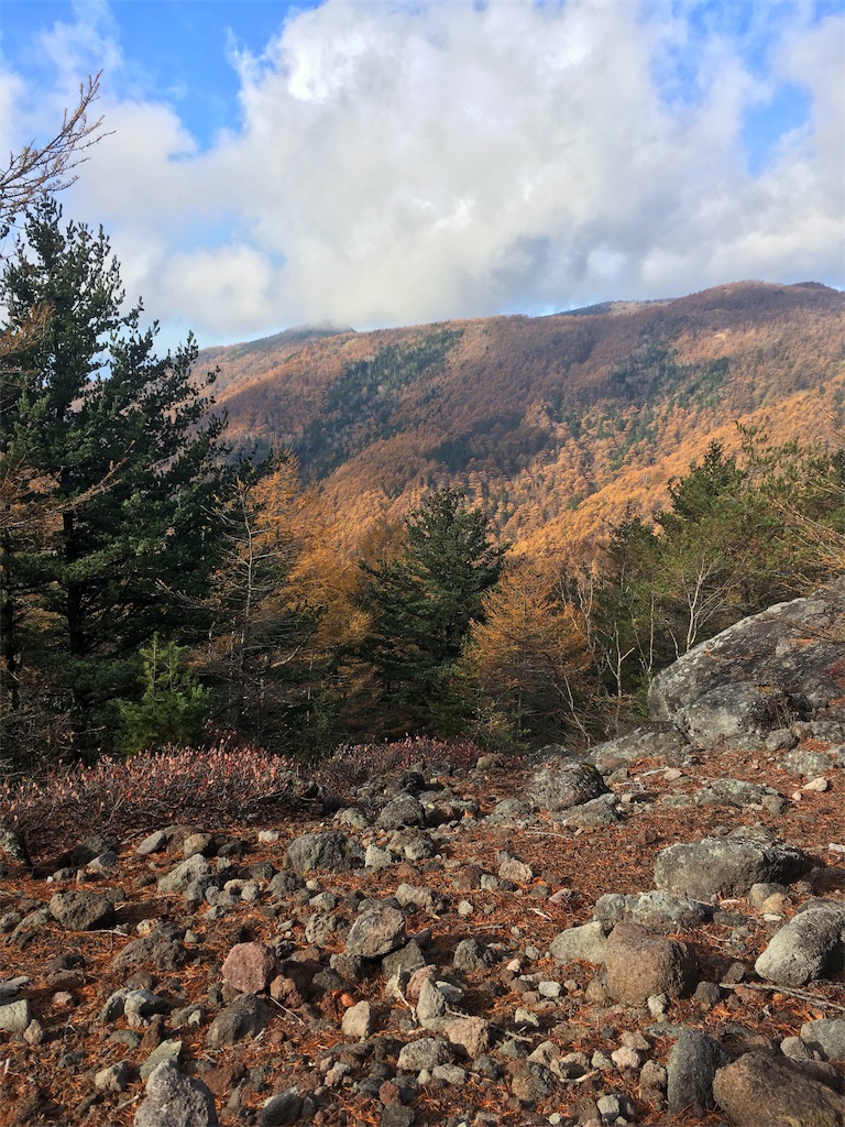 f:id:huyukomori:20190922034342j:image f:id:huyukomori:20190922034342j:image