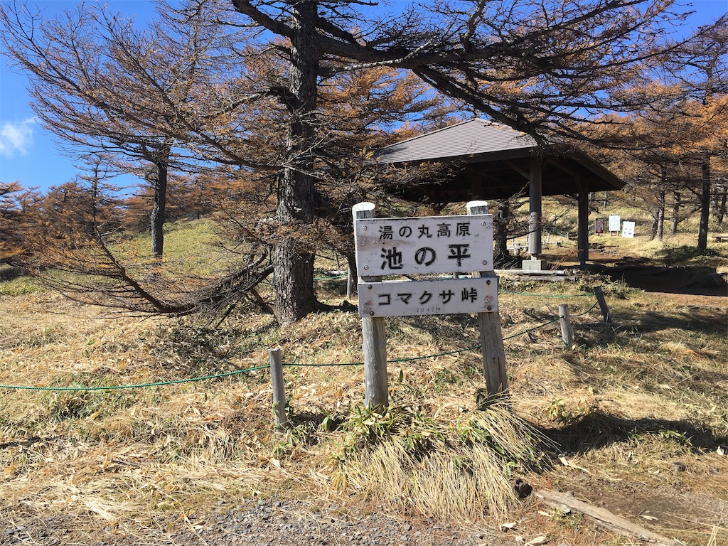 f:id:huyukomori:20190922034926j:image f:id:huyukomori:20190922034926j:image
