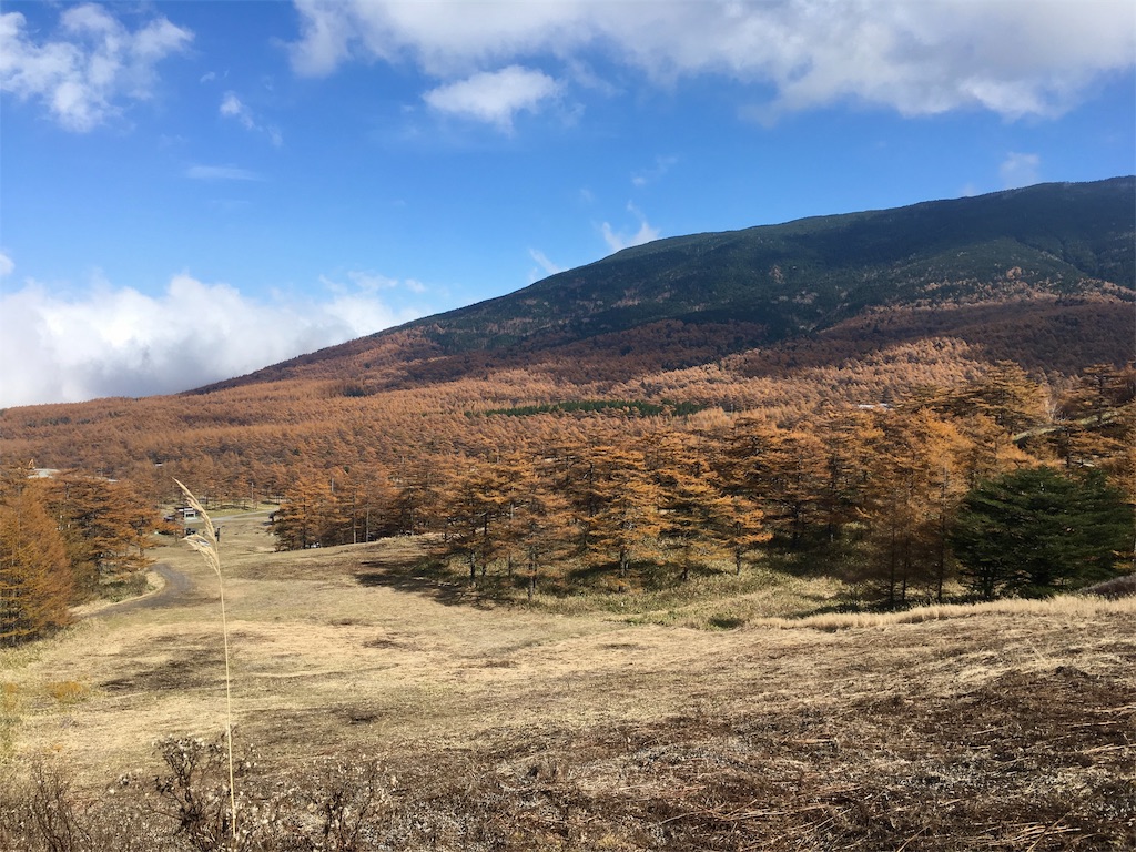 f:id:huyukomori:20190922035029j:image f:id:huyukomori:20190922035029j:image