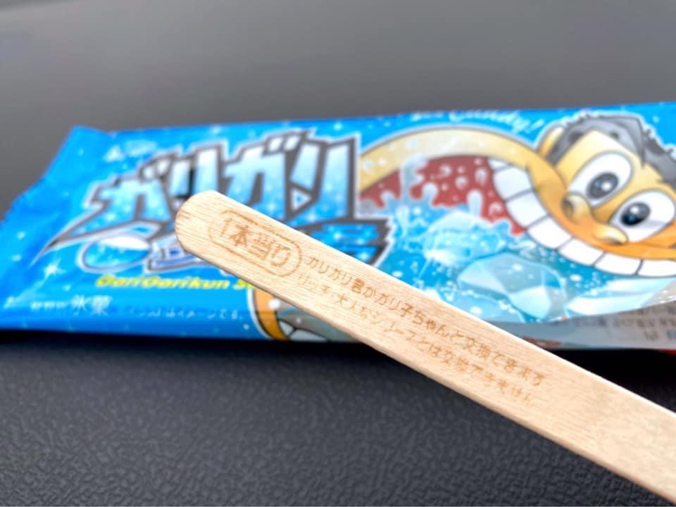 f:id:hwrenine:20210820112447j:plain