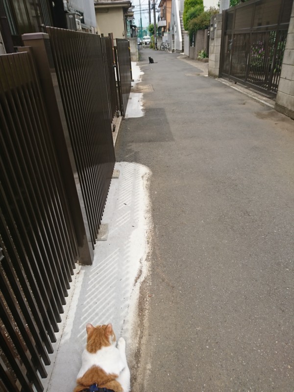 f:id:hx2:20180512104731j:plain f:id:hx2:20180512104731j:plain