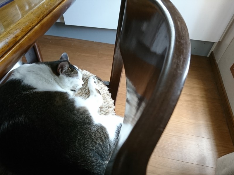 f:id:hx2:20180805100147j:plain f:id:hx2:20180805100147j:plain
